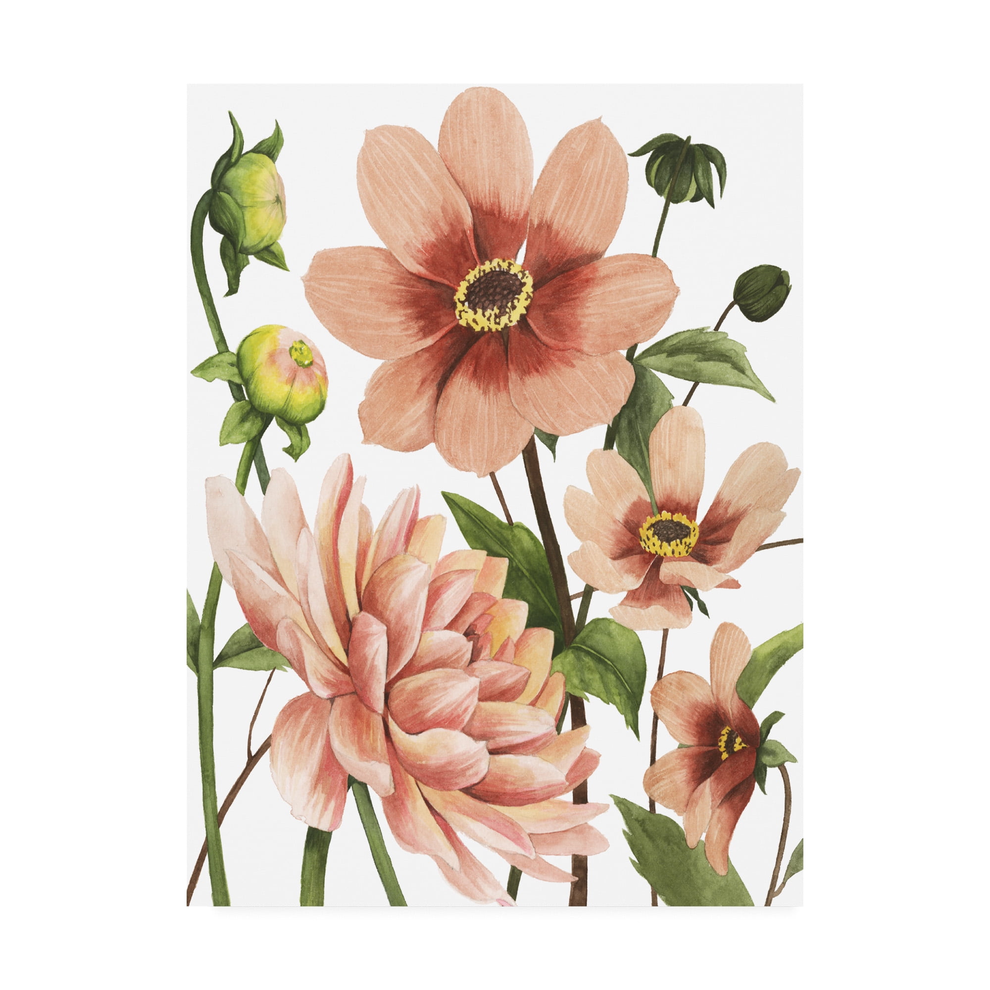 Trademark Fine Art 'Dahlia Spell II' Canvas Art by Grace Popp