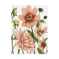 Trademark Fine Art 'Dahlia Spell II' Canvas Art by Grace Popp