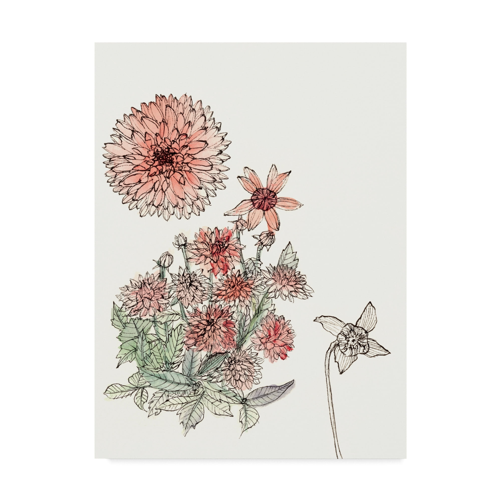 Trademark Fine Art 'Dahlia Study' Canvas Art by Melissa Wang