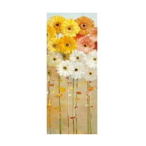 Trademark Fine Art 'Daisies Fall I' Canvas Art by Danhui Nai