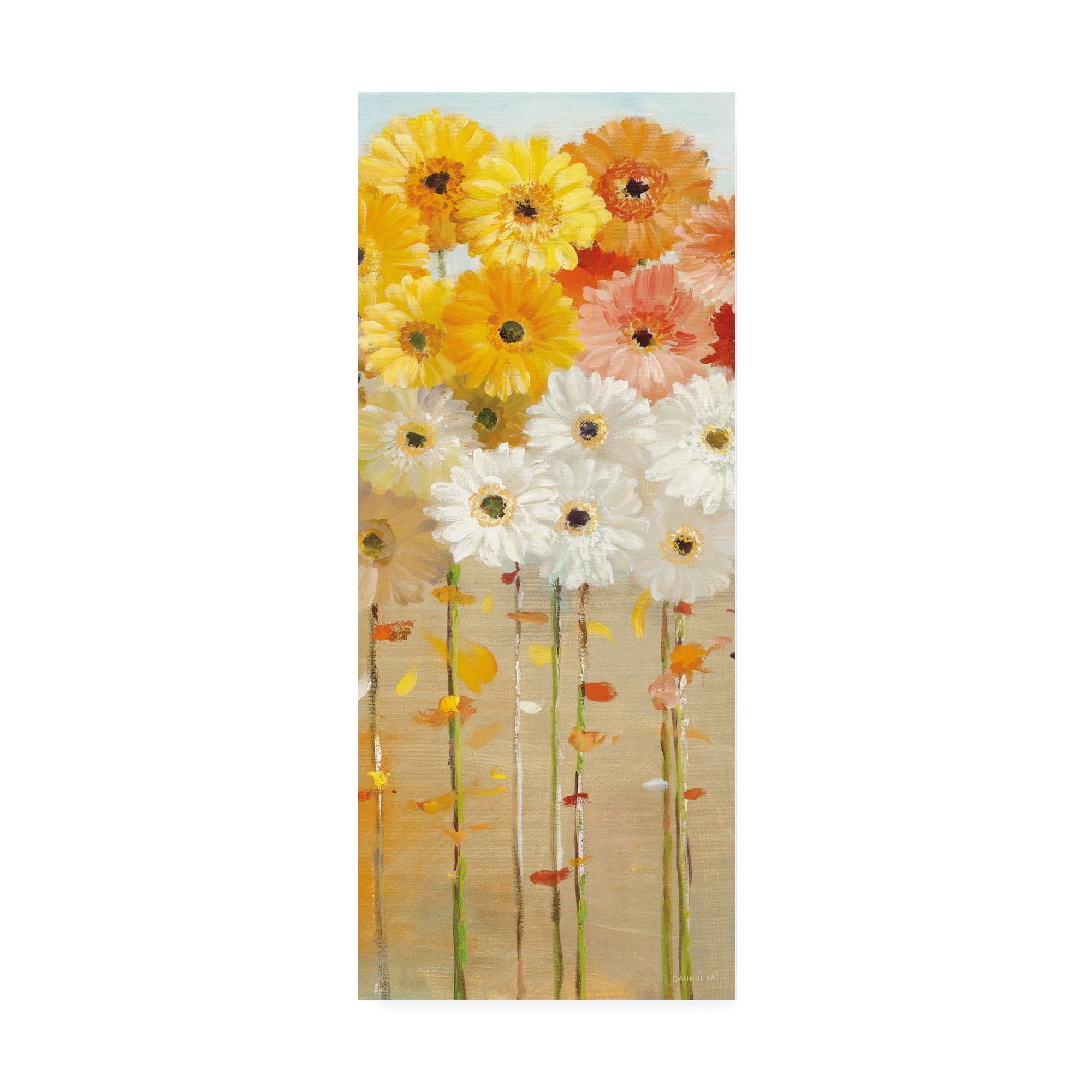 Trademark Fine Art 'Daisies Fall I' Canvas Art by Danhui Nai