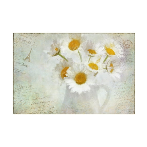Trademark Fine Art 'Daisies Paris Vintage' Canvas Art by Cora Niele