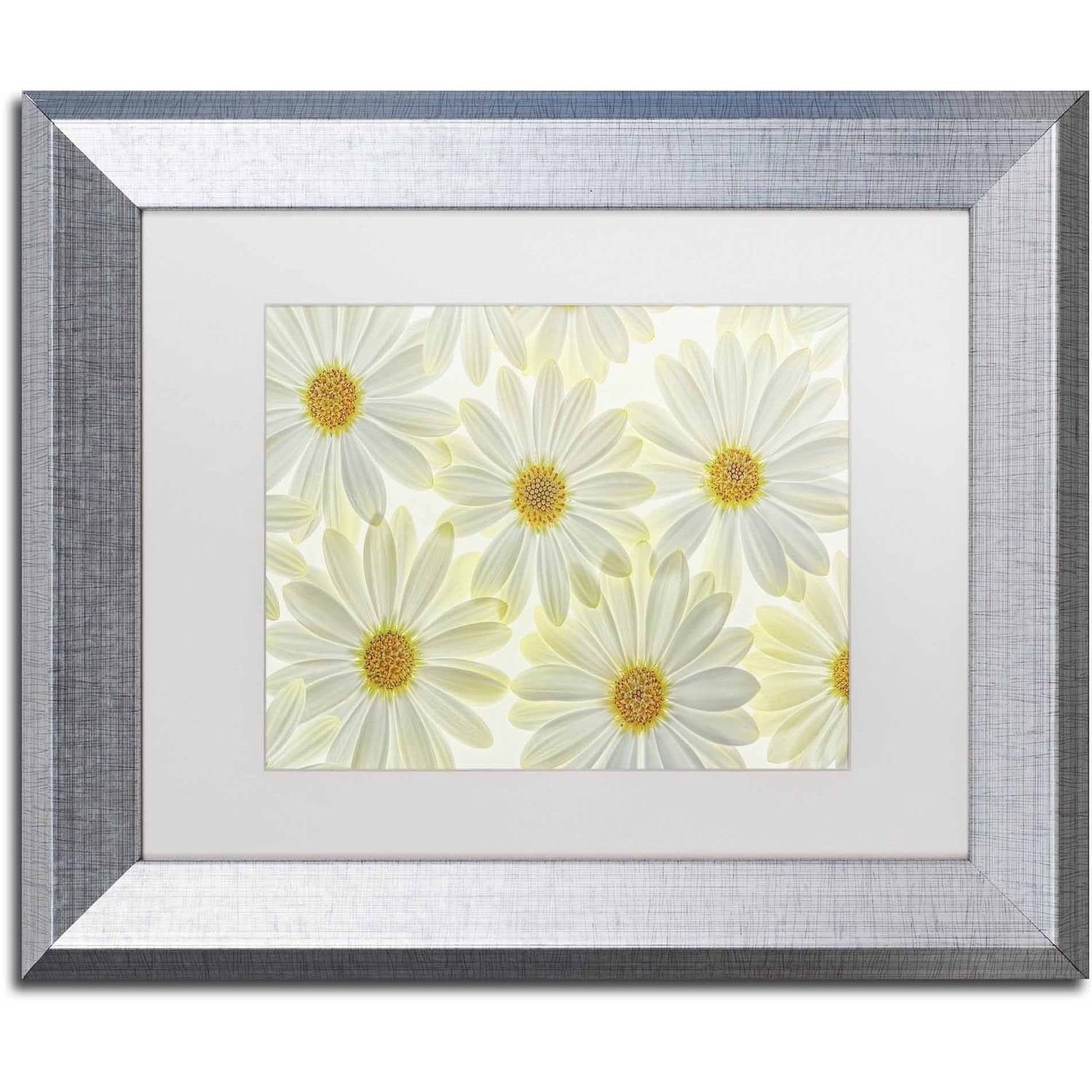 Trademark Fine Art 'Daisy Flowers' Canvas Art by Cora Niele, White Matte, Silver Frame