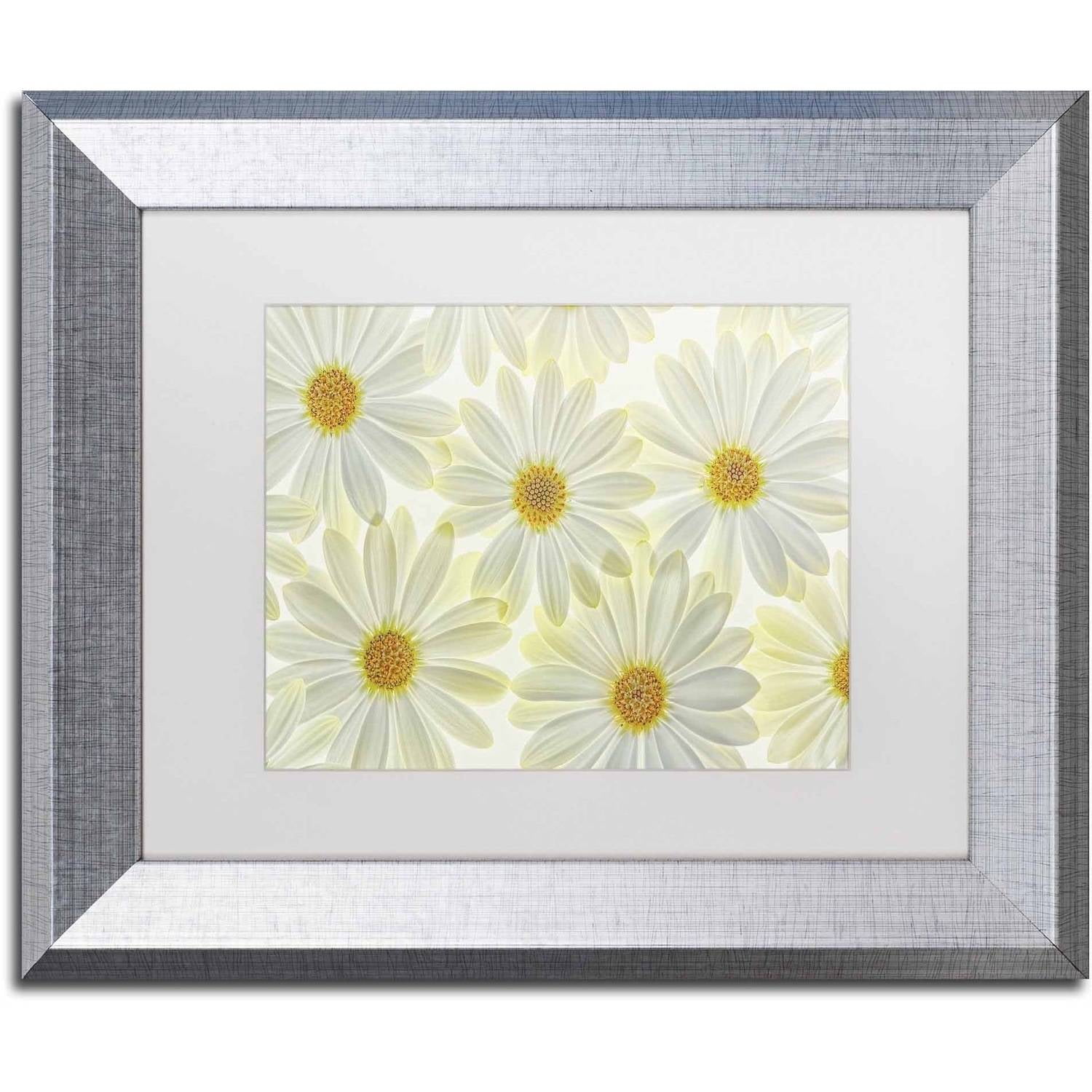 Trademark Fine Art 'Daisy Flowers' Canvas Art by Cora Niele, White Matte, Silver Frame