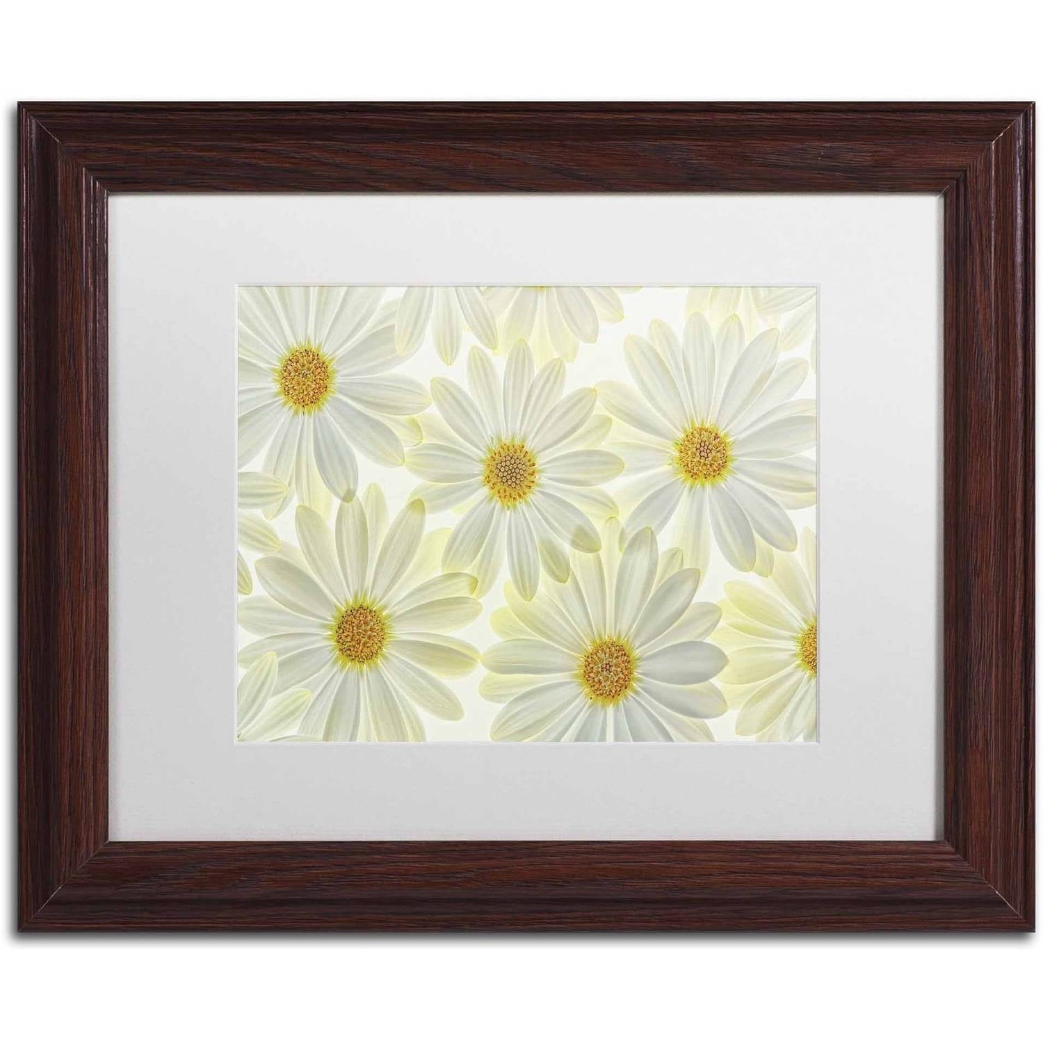 Trademark Fine Art 'Daisy Flowers' Canvas Art by Cora Niele, White Matte, Wood Frame