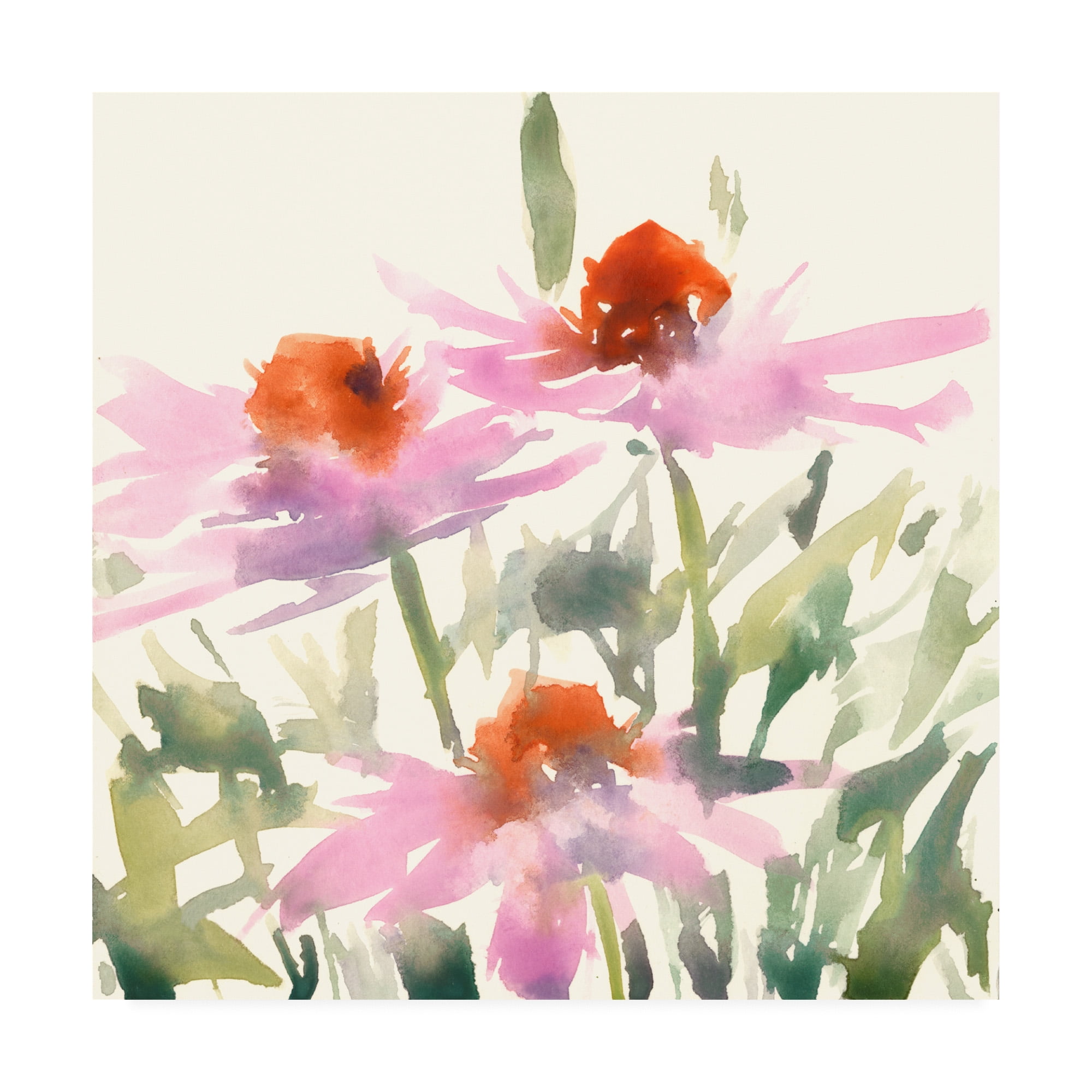 Trademark Fine Art 'Daisy Garden Views I' Canvas Art by Samuel Dixon