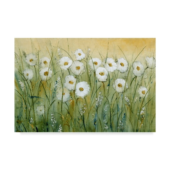 Trademark Fine Art 'Daisy Spring I' Canvas Art by Tim OToole