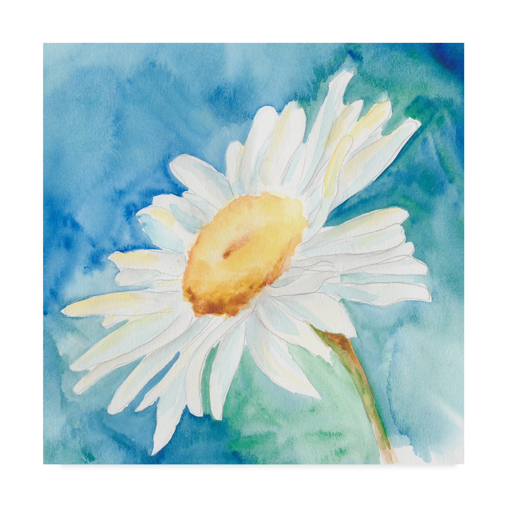 Trademark Fine Art 'Daisy Sunshine I' Canvas Art by Regina Moore