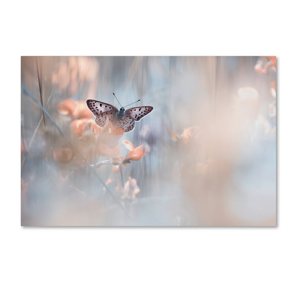 Trademark Fine Art 'Dakinis Are Watching Over Us' Canvas Art by Fabien Bravin