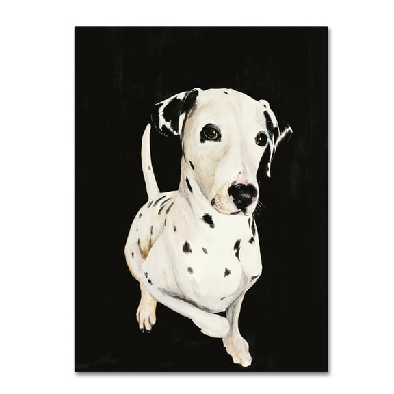 Trademark Fine Art 'Dakota I' Canvas Art by Patsy Ducklow