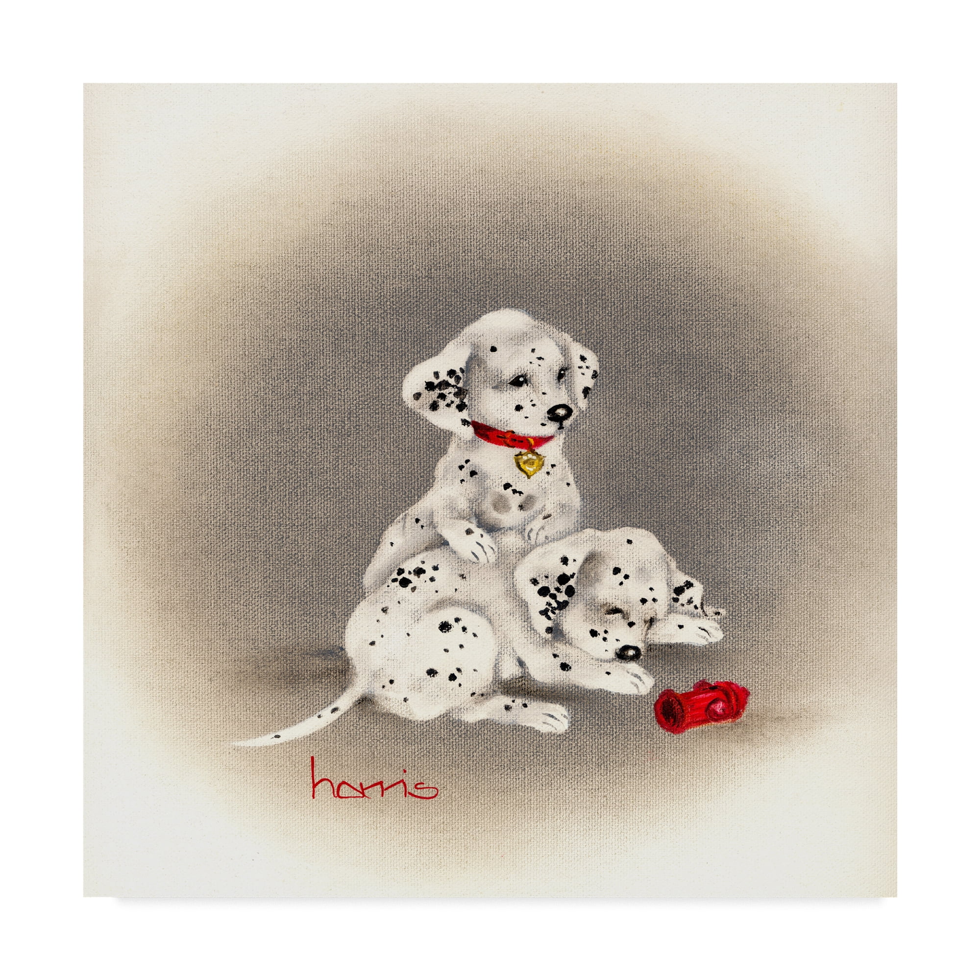 Dalmatian canvas art cheap
