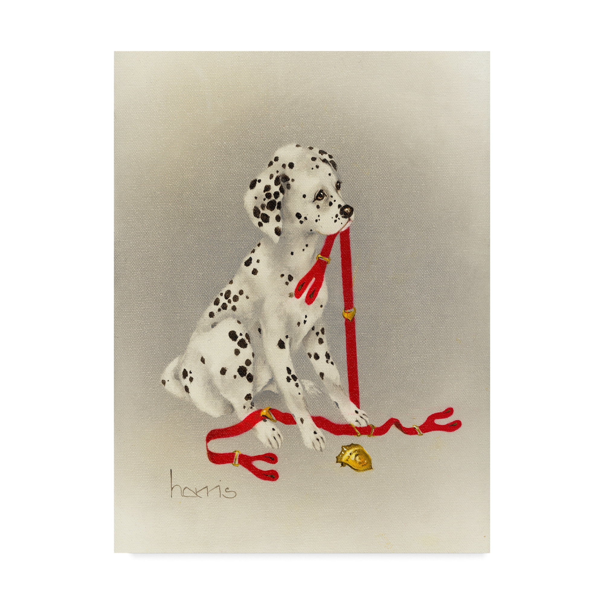 Trademark Fine Art 'Dalmatian Hot Diggity Dog' Canvas Art by Peggy Harris