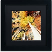 Trademark Fine Art "Damn Nation" Canvas Art by Philippe Sainte-Laudy Black Matte, Black Frame