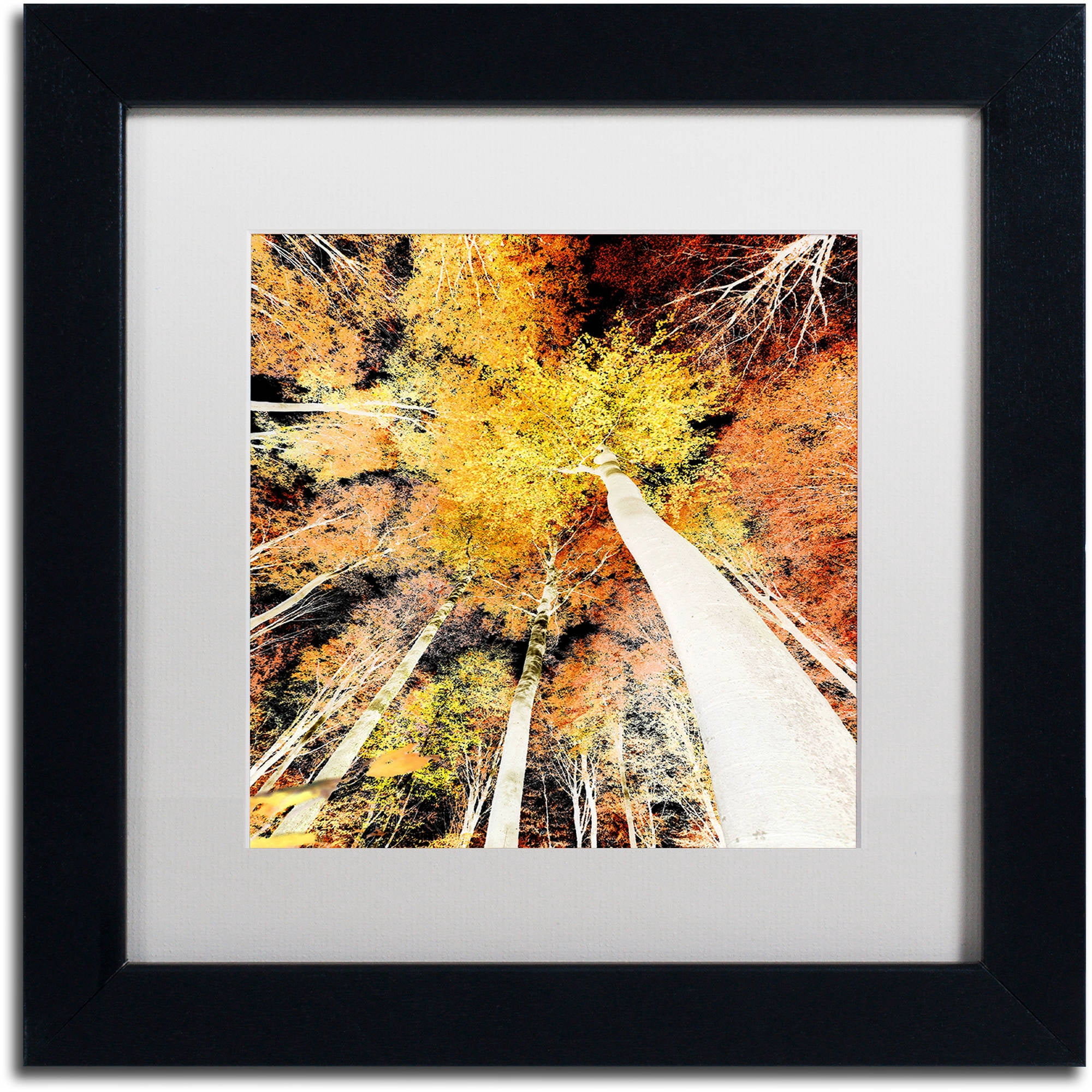 Trademark Fine Art "Damn Nation" Canvas Art by Philippe Sainte-Laudy White Matte, Black Frame