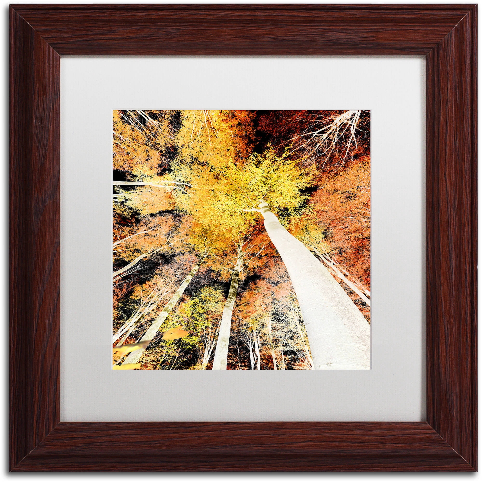 Trademark Fine Art "Damn Nation" Canvas Art by Philippe Sainte-Laudy White Matte, Wood Frame