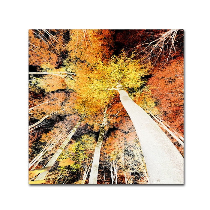 Trademark Fine Art "Damn Nation" Canvas Art by Philippe Sainte-Laudy