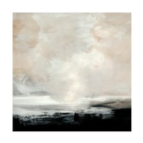 Trademark Fine Art Dan Hobday  Clouds Canvas Wall Art