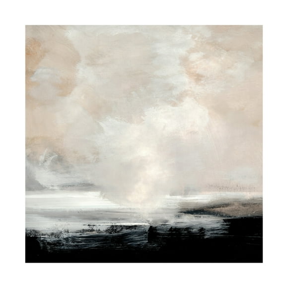 Trademark Fine Art Dan Hobday  Clouds Canvas Wall Art