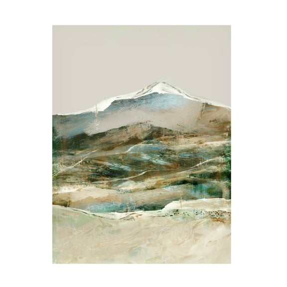 Trademark Fine Art Dan Hobday  Cordillera Canvas Wall Art