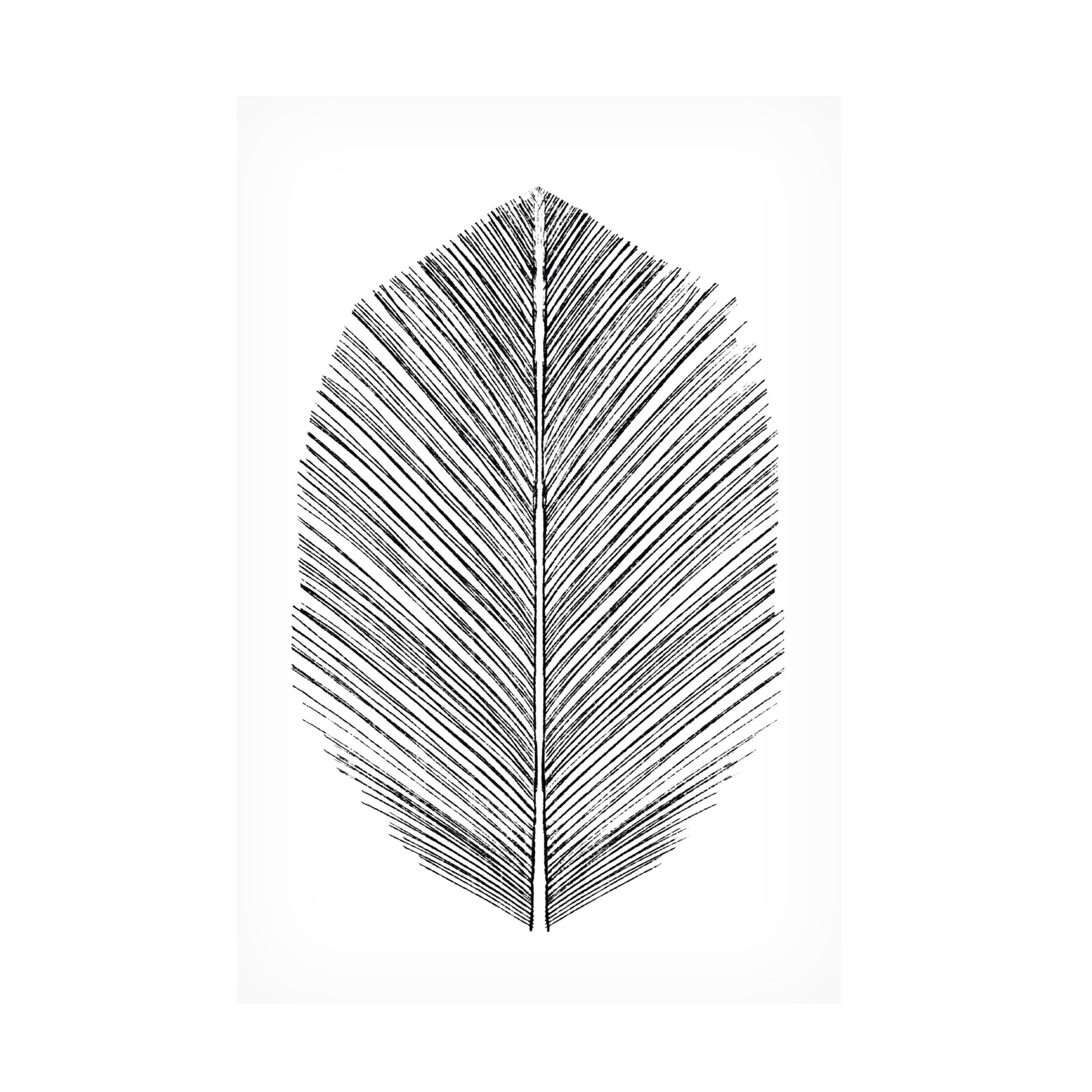 Trademark Fine Art Dan Hobday Feather Canvas Wall Art