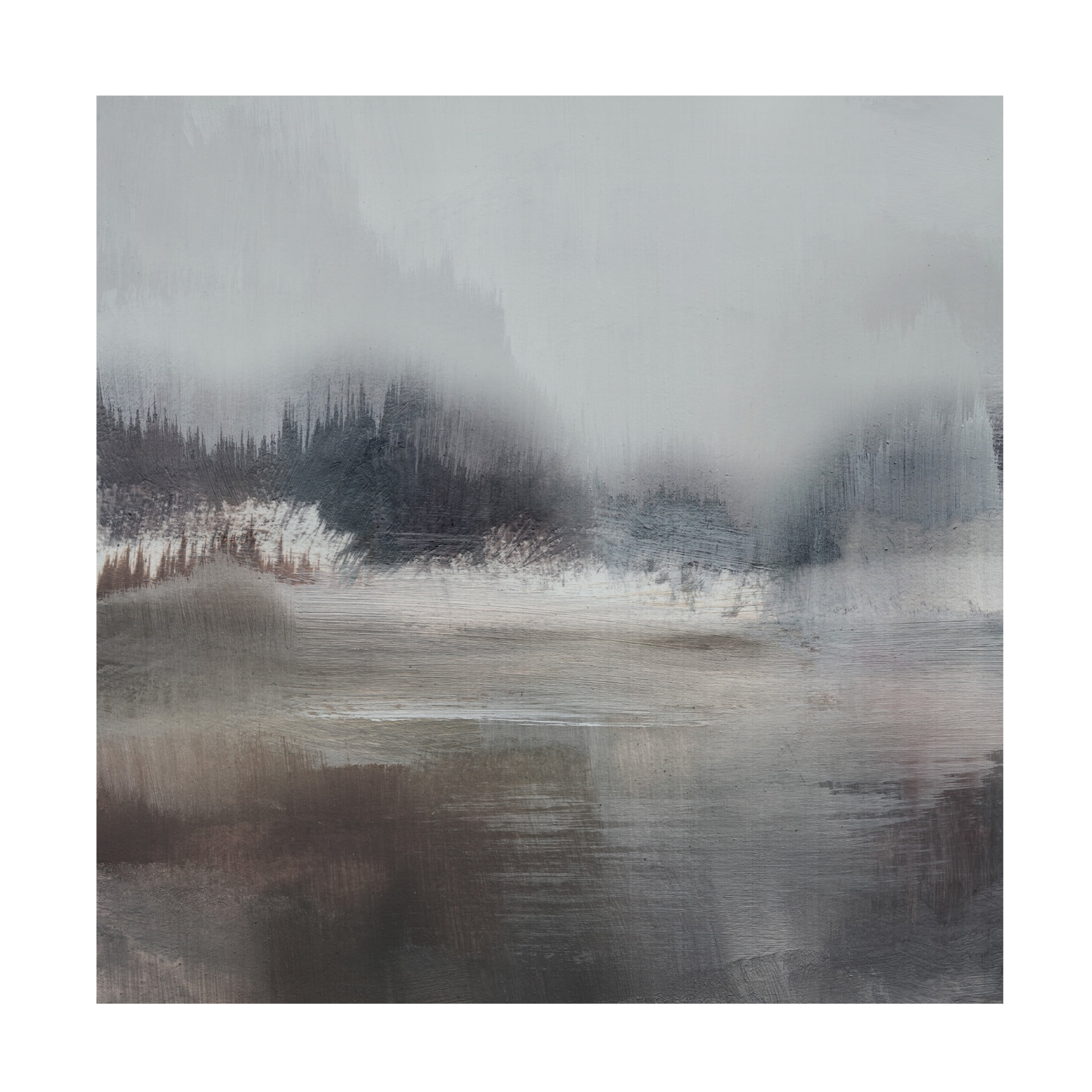 Trademark Fine Art Dan Hobday  Forest Lake Canvas Wall Art