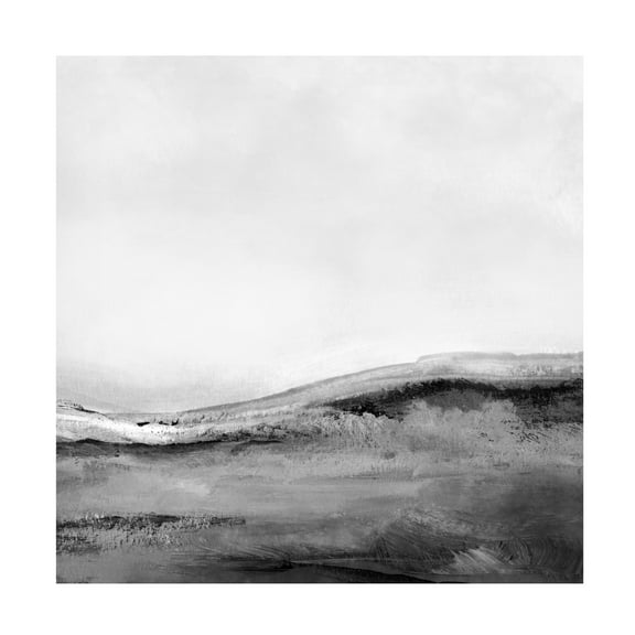Trademark Fine Art Dan Hobday Mono Landscape No2 Canvas Wall Art