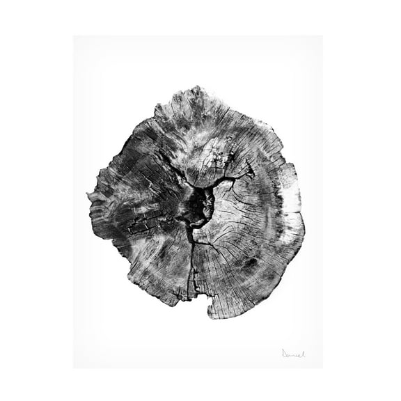 Trademark Fine Art Dan Hobday  Oak Log Canvas Wall Art