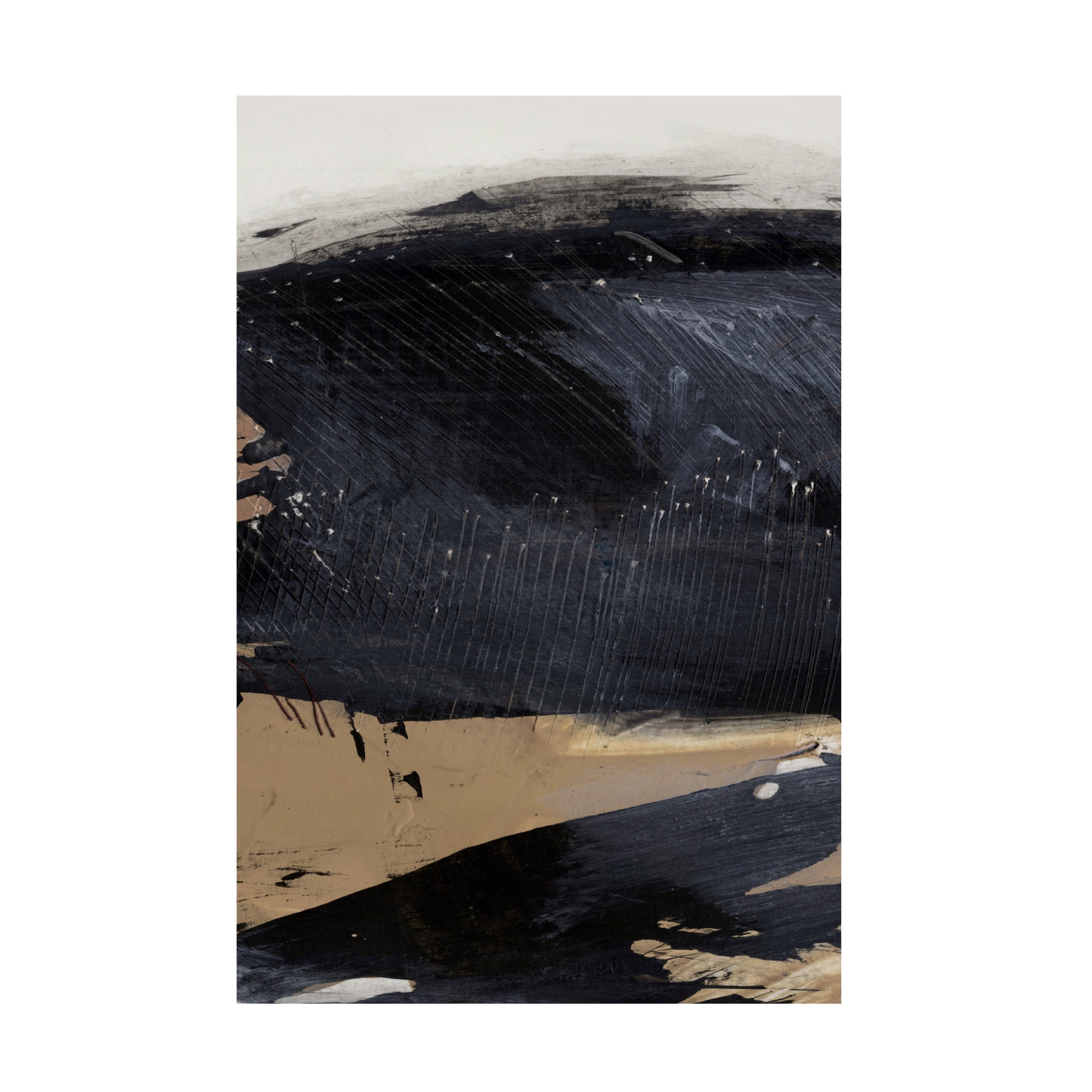 Trademark Fine Art Dan Hobday  Snap No2 Canvas Wall Art