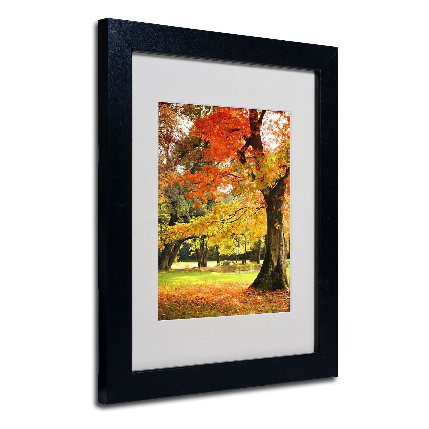 Trademark Fine Art "Dance of Colors" Canvas Art by Philippe Sainte-Laudy, Black Frame