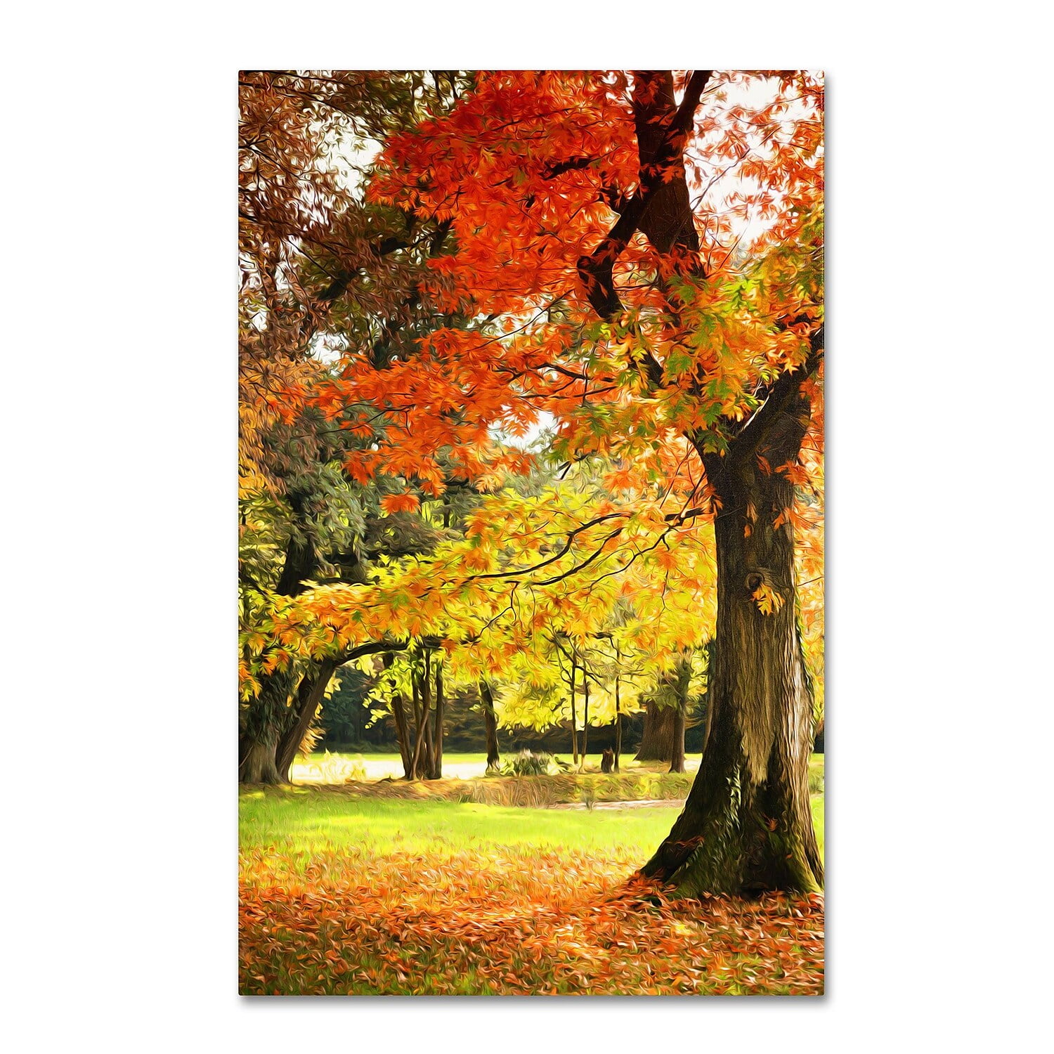 Trademark Fine Art "Dance of Colors" Canvas Art by Philippe Sainte-Laudy