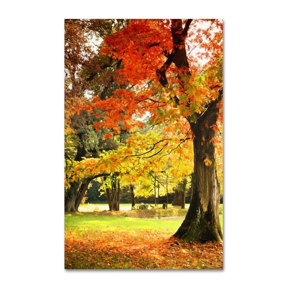 Trademark Fine Art "Dance of Colors" Canvas Art by Philippe Sainte-Laudy
