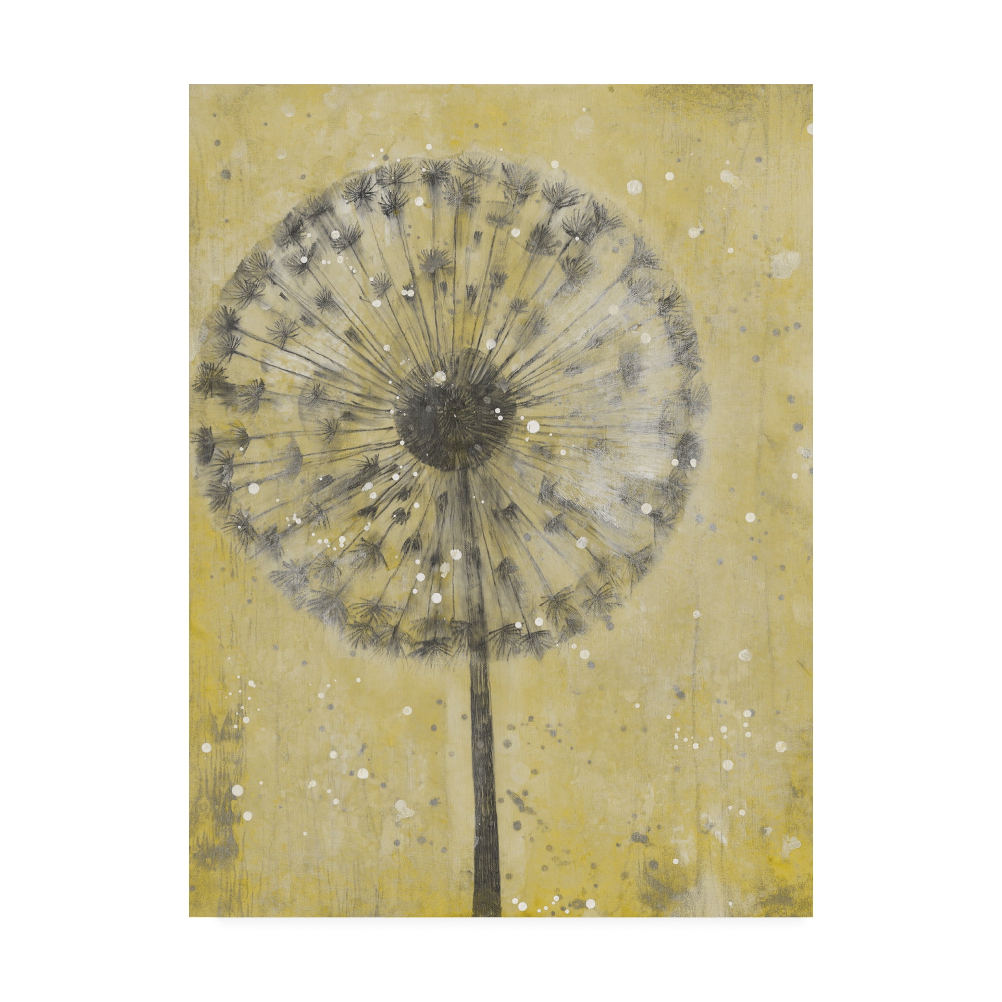 Trademark Fine Art 'Dandelion Abstract II' Canvas Art by Tim OToole
