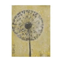 Trademark Fine Art 'Dandelion Abstract II' Canvas Art by Tim OToole
