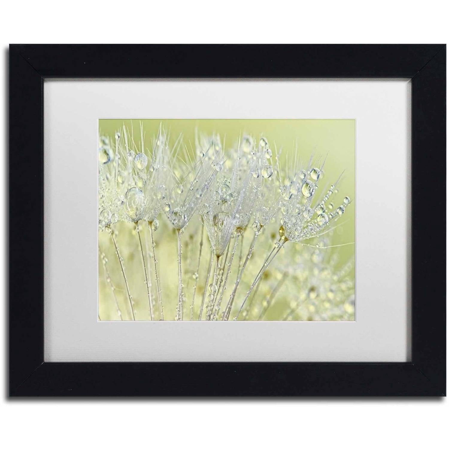 Trademark Fine Art 'Dandelion Dew I' Canvas Art by Cora Niele, White Matte, Black Frame
