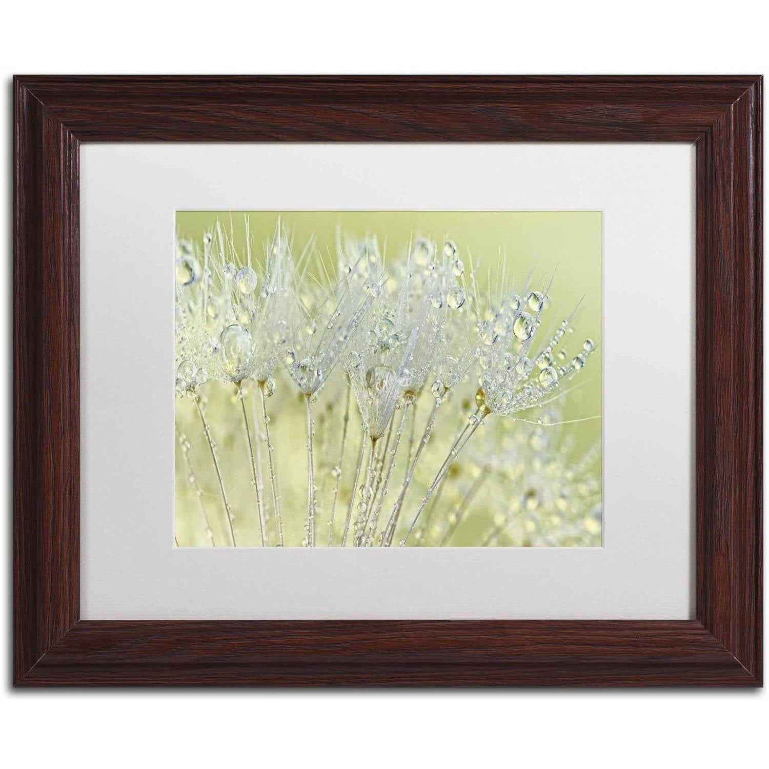 Trademark Fine Art 'Dandelion Dew I' Canvas Art by Cora Niele, White Matte, Wood Frame