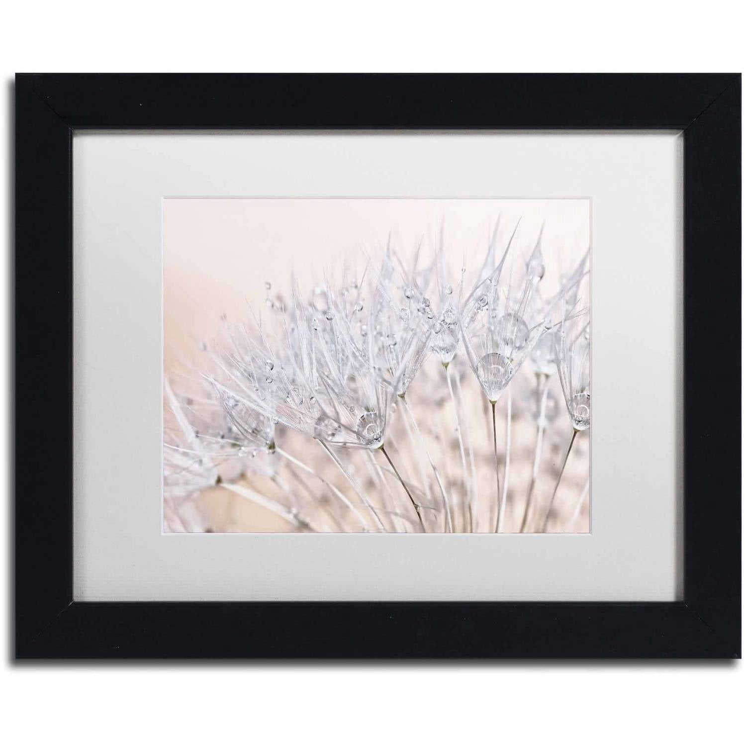 Trademark Fine Art 'Dandelion Dew II' Canvas Art by Cora Niele, White Matte, Black Frame