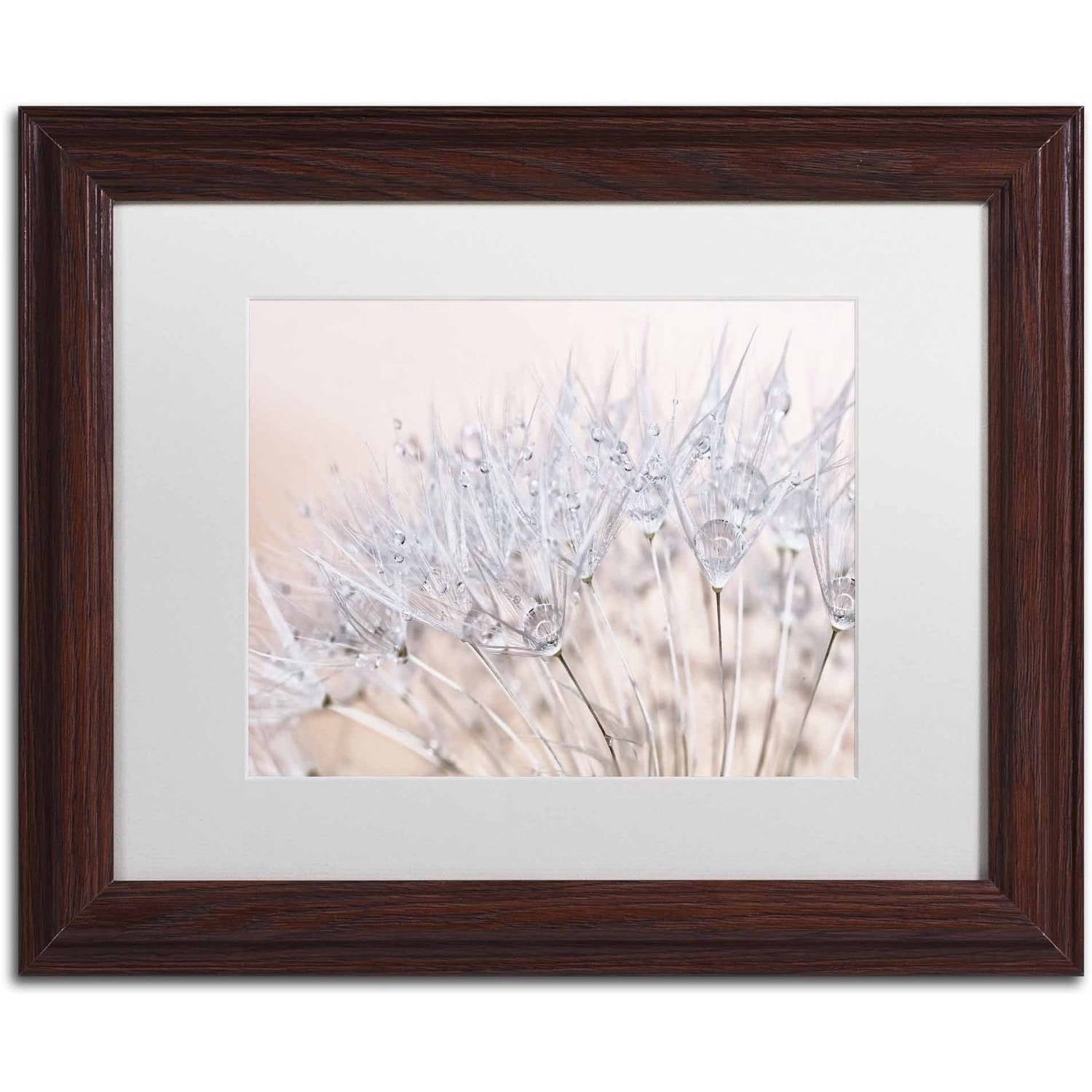 Trademark Fine Art 'Dandelion Dew II' Canvas Art by Cora Niele, White Matte, Wood Frame
