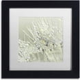 thumbnail image 1 of Trademark Fine Art 'Dandelion Dew III' Canvas Art by Cora Niele, White Matte, Black Frame, 1 of 1