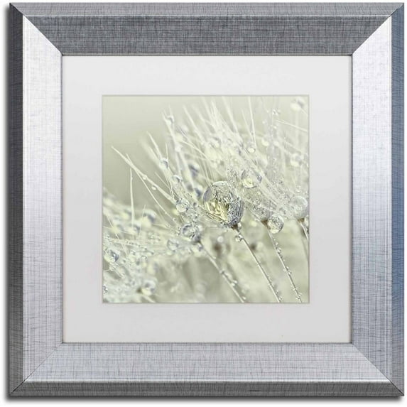 Trademark Fine Art 'Dandelion Dew III' Canvas Art by Cora Niele, White Matte, Silver Frame