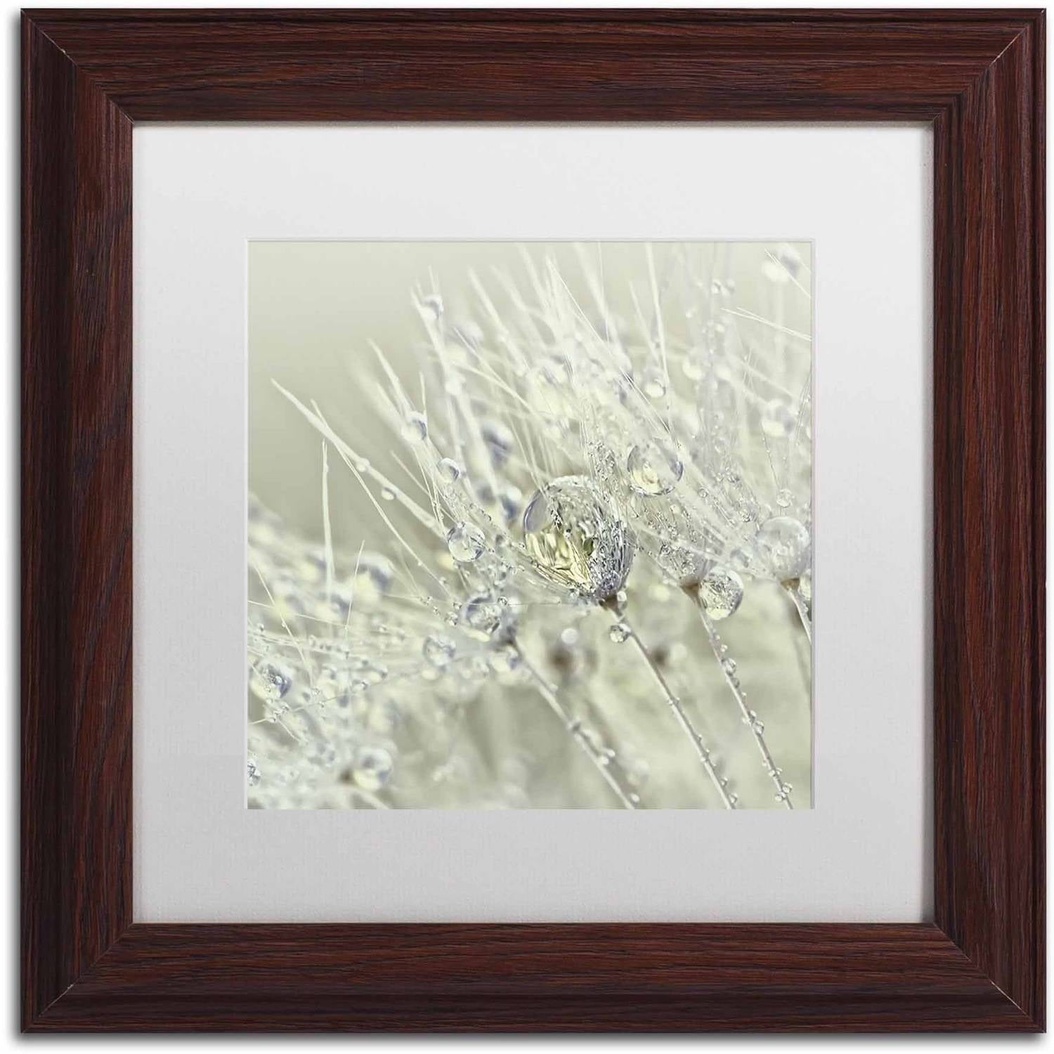 Trademark Fine Art 'Dandelion Dew III' Canvas Art by Cora Niele, White Matte, Wood Frame