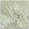 thumbnail image 1 of Trademark Fine Art 'Dandelion Dew III' Canvas Art by Cora Niele, 1 of 1