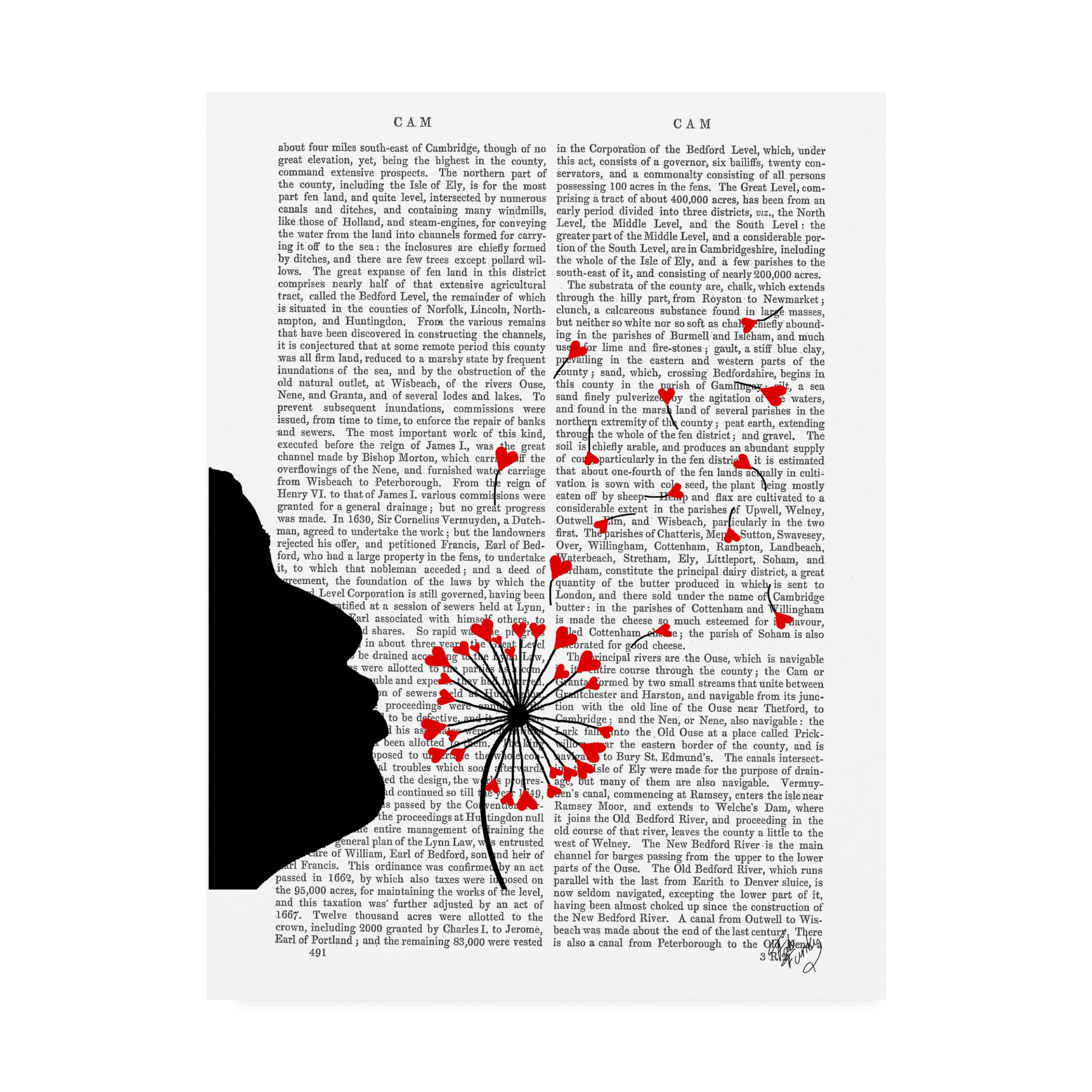 Trademark Fine Art 'Dandelion Hearts' Canvas Art by Fab Funky