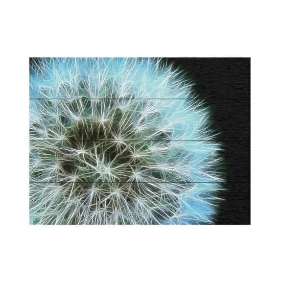 Trademark Fine Art 'Dandelion Seed Head Full' Wooden Wall Art Art by Kathie McCurdy