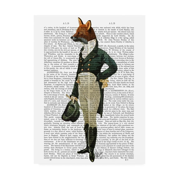 Trademark Fine Art 'Dandy Fox, Full' Canvas Art by Fab Funky