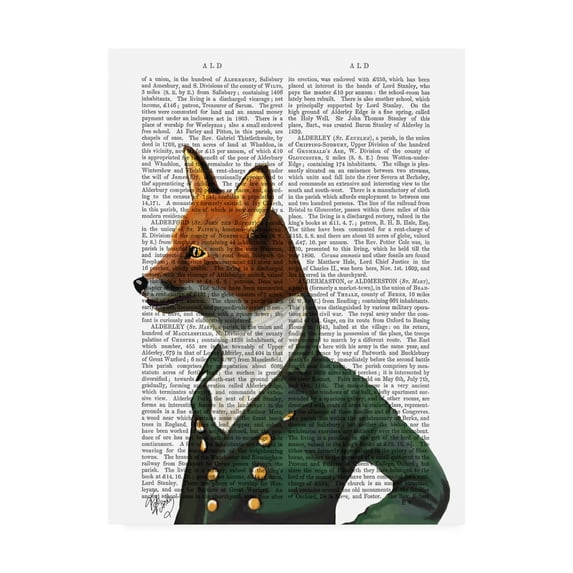 Trademark Fine Art 'Dandy Fox, Portrait' Canvas Art by Fab Funky