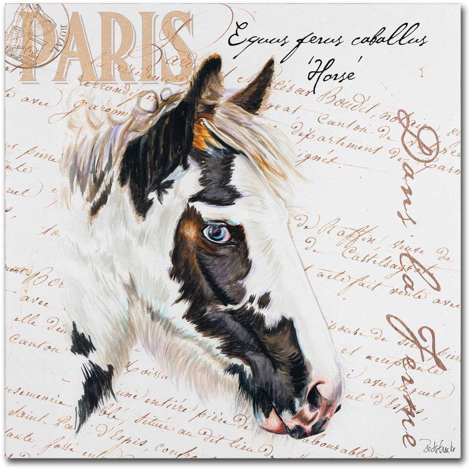 Trademark Fine Art "Dans la Ferme Horse" Canvas Art by Jennifer Redstreake