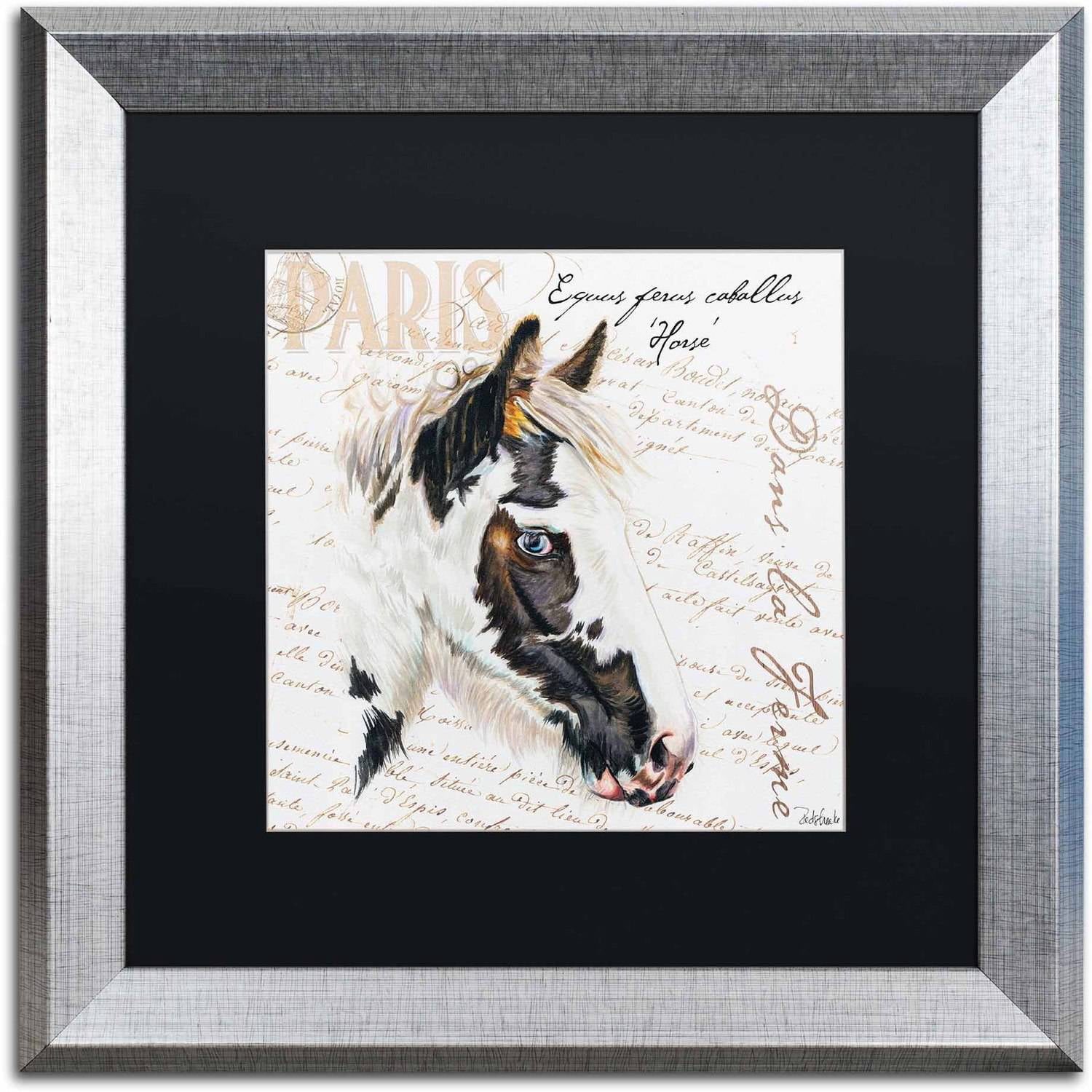 Trademark Fine Art "Dans la Ferme Rooster I" Canvas Art by Jennifer Redstreake Black Matte, Silver Frame