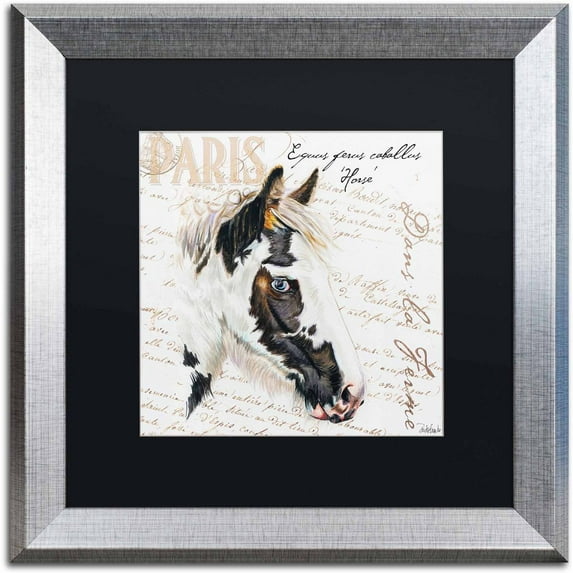 Trademark Fine Art "Dans la Ferme Rooster I" Canvas Art by Jennifer Redstreake Black Matte, Silver Frame