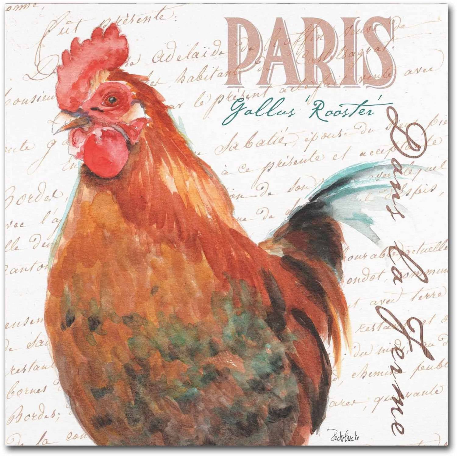 Trademark Fine Art "Dans la Ferme Rooster I" Canvas Art by Jennifer Redstreake