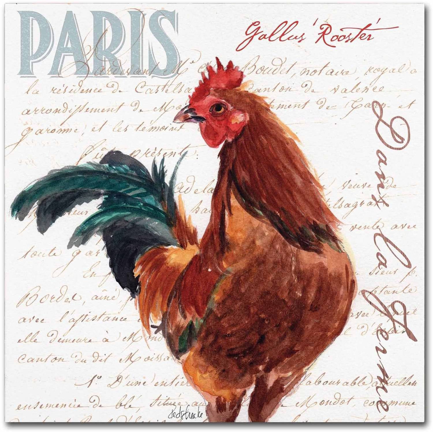 Trademark Fine Art "Dans la Ferme Rooster II" Canvas Art by Jennifer Redstreake